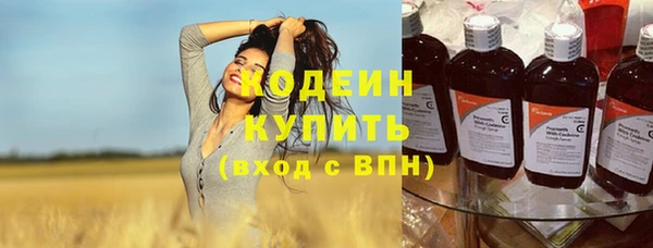 дживик Снежинск