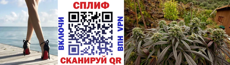 Купить где  Скопин  Марихуана конопля 